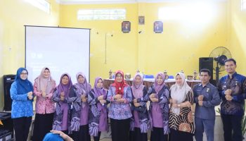 Pemko Binjai, Wali Kota Binjai, Drs. H. Amir Hamzah, Wakil Wali Kota Binjai, Apresiasi Kader Posyandu