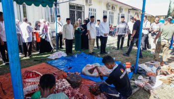 Hari kedua Idul Adha 1445 H, Pj. Wali Kota Tebing Tinggi Tinjau Pelaksanaan Pemotongan Hewan Quban di Lingkungan Dinas Dikbud