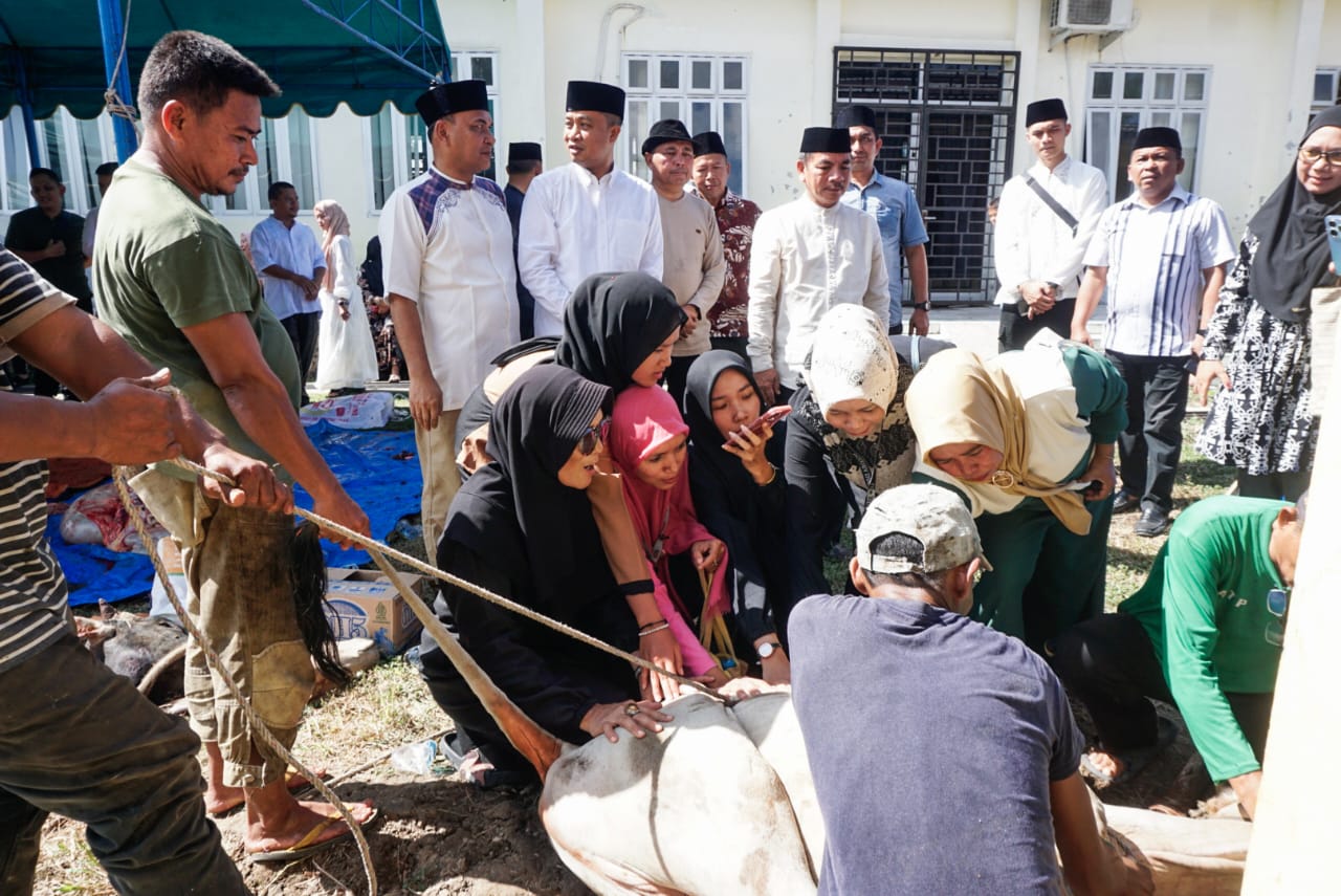 Hari kedua Idul Adha 1445 H, Pj. Wali Kota Tebing Tinggi Tinjau Pelaksanaan Pemotongan Hewan Quban di Lingkungan Dinas Dikbud