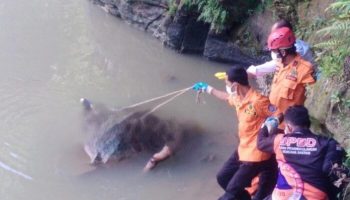 Temuan Mayat
