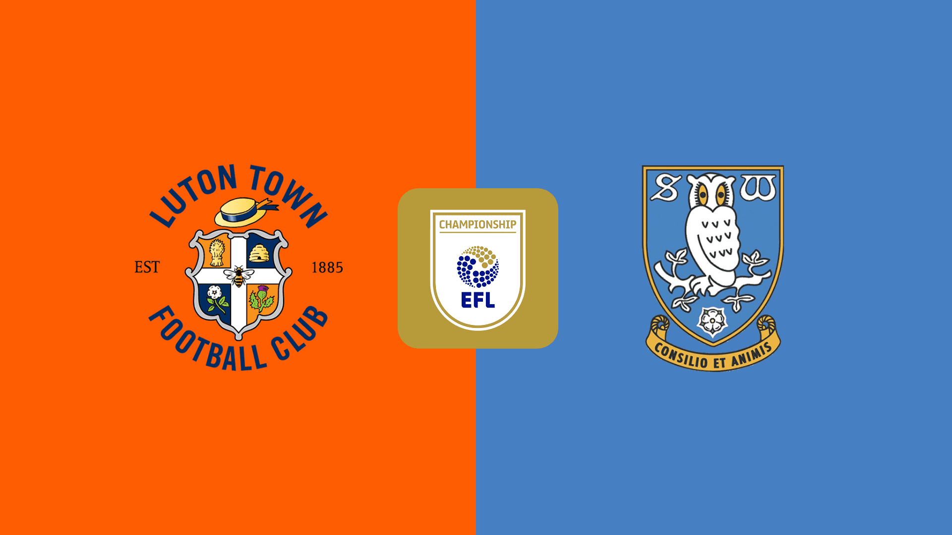 Luton vs Sheff Weds Luton vs Sheff Weds