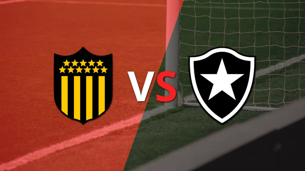Penarol vs Botafogo