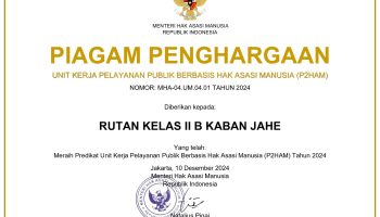 IMG-20241211-WA0023