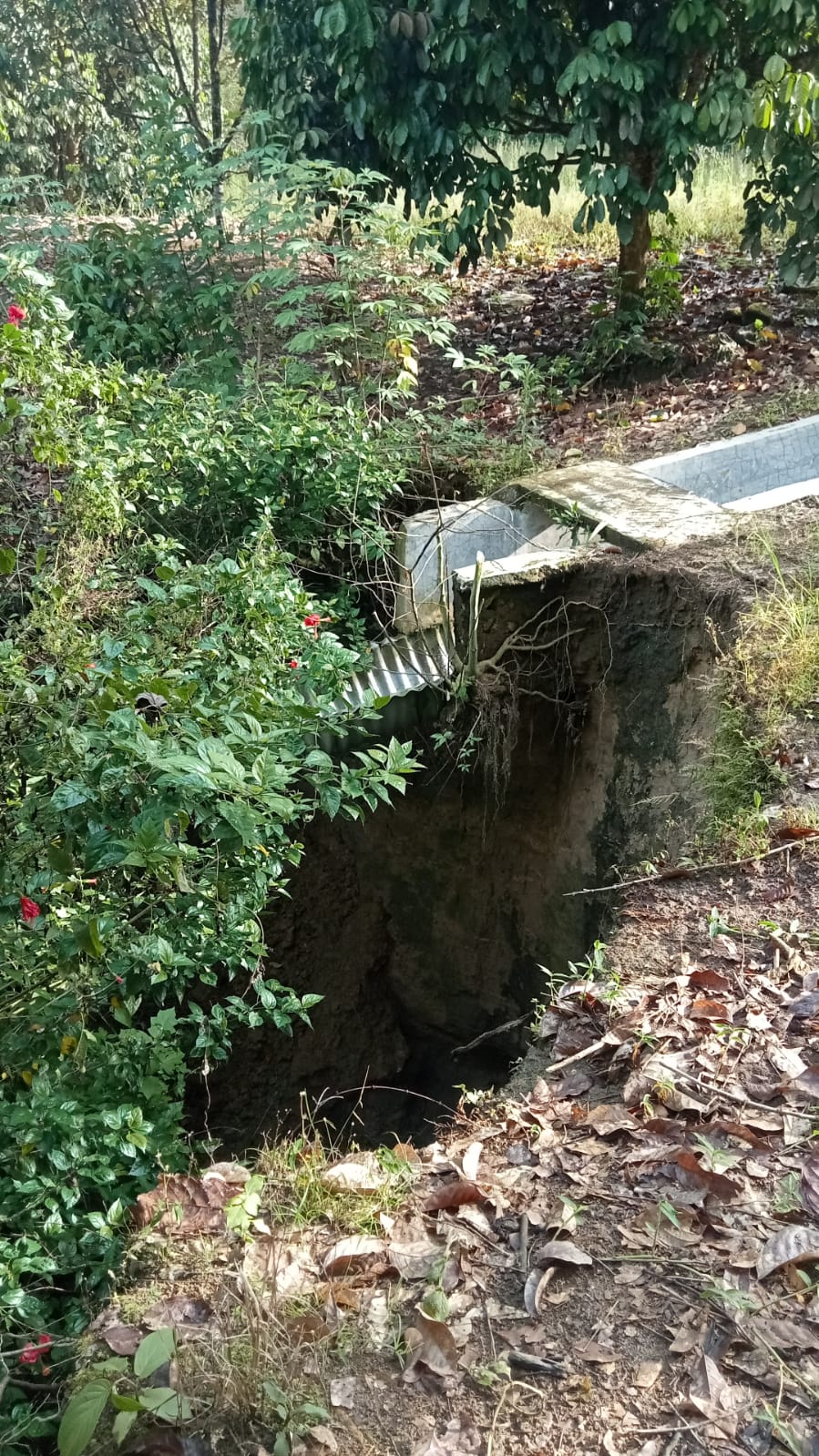 IMG-20250318-WA0007