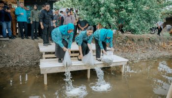 KetuaTPPKKSumut_Tabur Benih Langkat 1