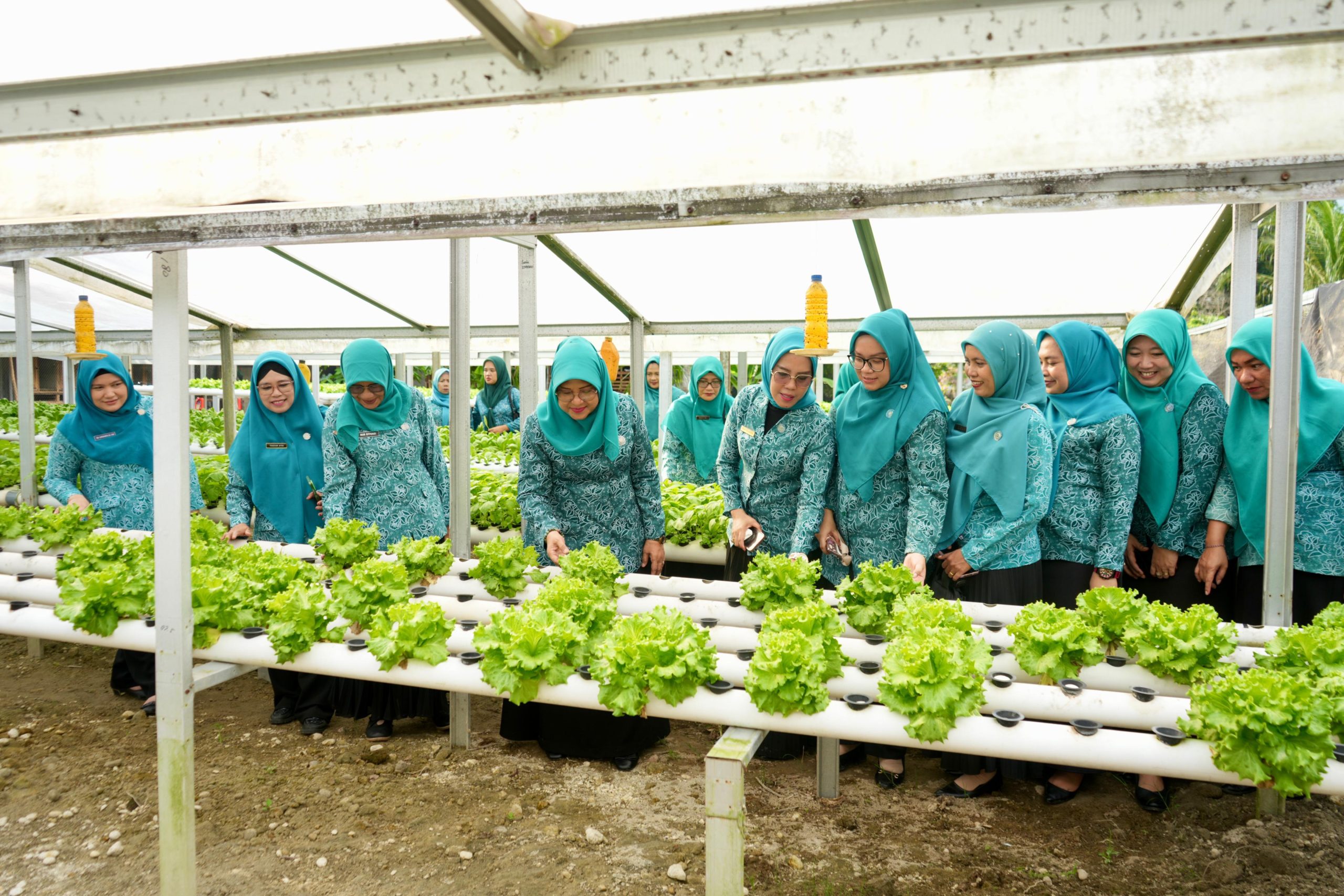 Ketua TP PKK Kota Binjai Hadiri Pembinaan Lanjutan Lomba Tertib Administrasi PKK di Binjai Selatan