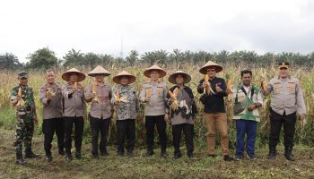 IMG-20260108-WA0009 Perkuat Ketahanan Pangan, Pemko Binjai Ikuti Panen Raya Jagung Serentak Nasional