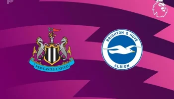 Newcastle vs Brighton