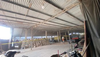 IMG-20260811-WA0064